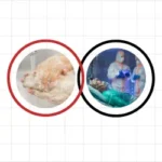 Infection Prevention and Control at Work